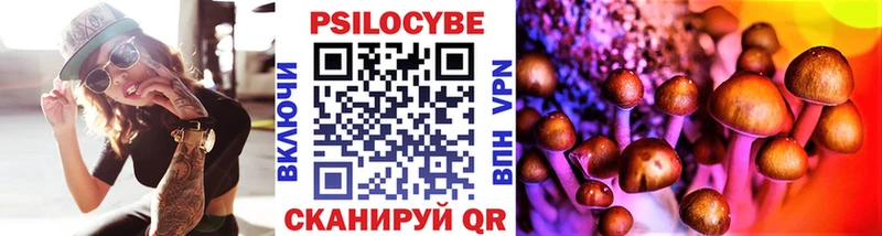 Галлюциногенные грибы Cubensis  Белово 
